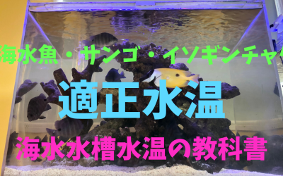 【教科書】海水魚・サンゴ水槽飼育の適正水温！すべてがわかる！