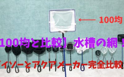 【100均と比較】水槽の網！ダイソーとアクアメーカー完全比較！