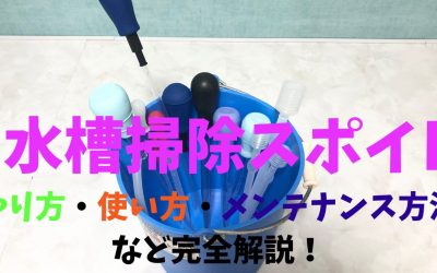 水槽掃除スポイトのやり方・使い方・メンテナンス方法など完全解説！