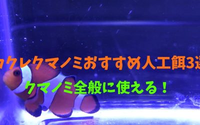 【プロ厳選】カクレクマノミおすすめ人工餌3選！バクバク食べる！