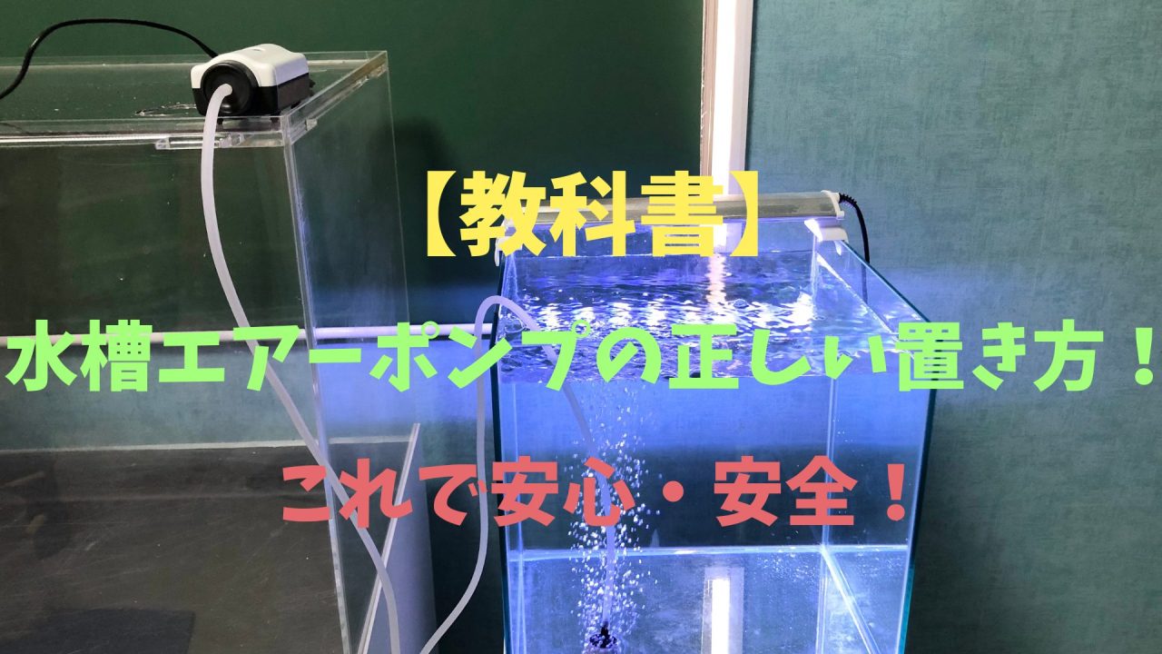 教科書】水槽エアーポンプの正しい置き方！下に置く場合も完全解説 