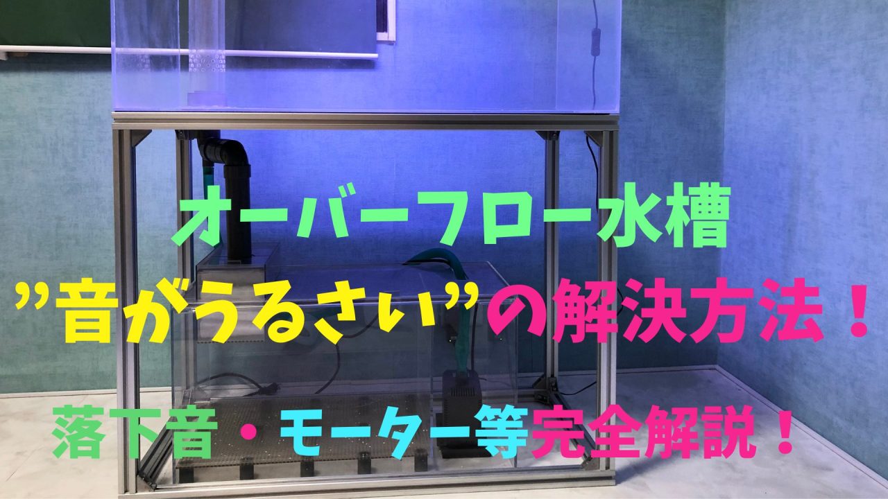 オーバーフロー水槽の”音がうるさい”の解決方法！落下音・モーター音等 