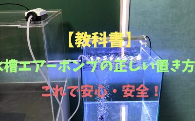 【教科書】水槽エアーポンプの正しい置き方！下に置く場合も完全解説！