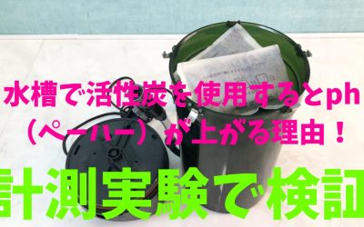 【計測実験】水槽で活性炭を使用するとph（ペーハー）が上がる理由！