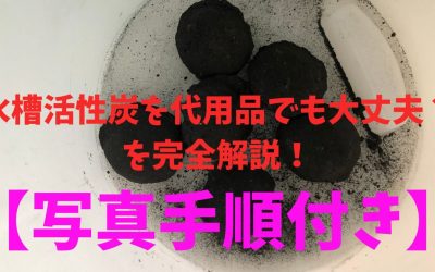 【写真手順】水槽活性炭は代用品でも大丈夫？を完全解説！