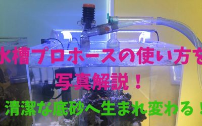 【砂利掃除】水槽プロホースの使い方を写真解説！清潔な底砂へ生まれ変わる！