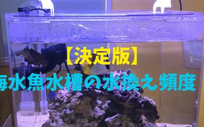 海水魚水槽の水換え頻度を完全解説！