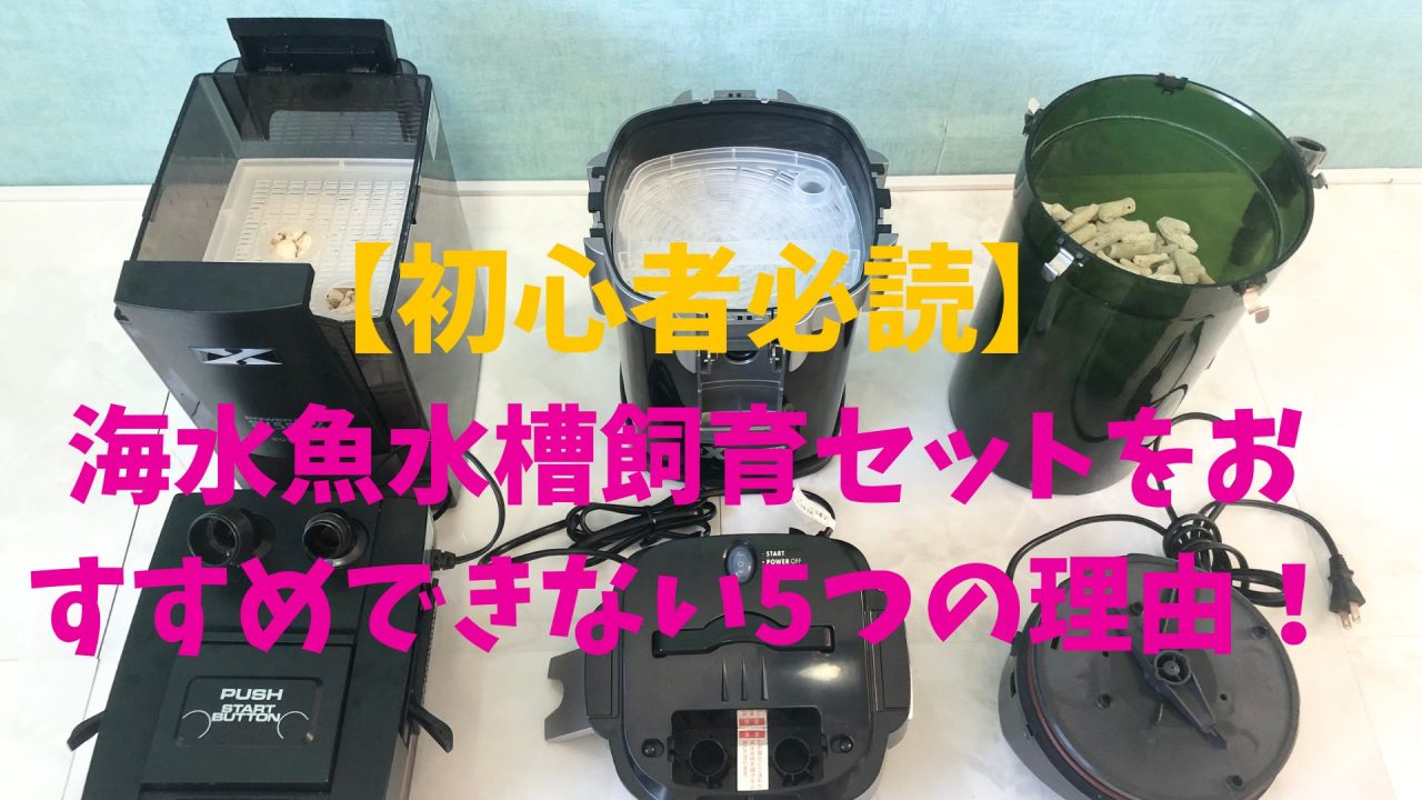 海水魚水槽飼育セットをおすすめできない5つの理由！購入するならこれ 