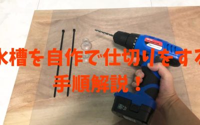 【セパレーター】水槽を自作で仕切りをする手順解説！楽しみ方もご案内！