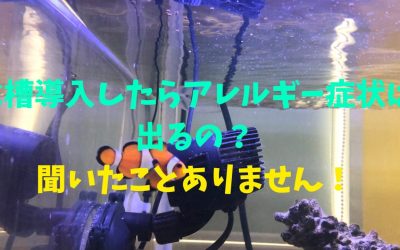 水槽導入したらアレルギー症状は出るの？聞いたことありません！