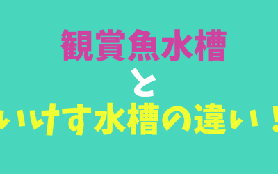 【決定版】観賞魚水槽といけす水槽の違い！