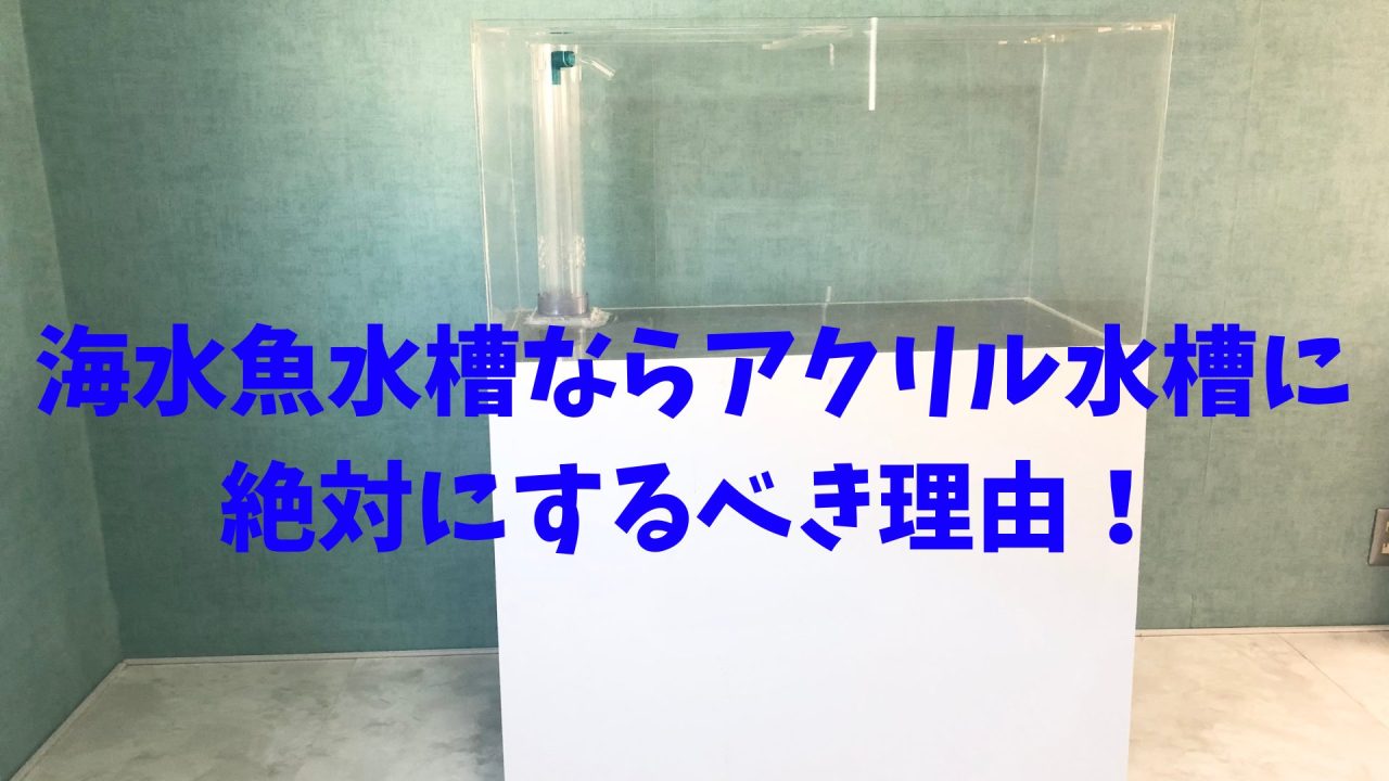 保存版】海水魚水槽ならアクリル水槽に絶対にするべき理由！ – マリブ 