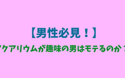 【男性必見！】アクアリウムが趣味の男はモテるのか？そうそう！そこが知りたかったんだ！