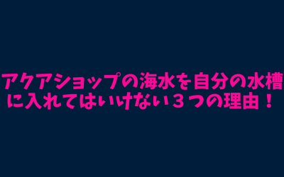 アクアショップの海水を自分の水槽に入れてはいけない３つの理由！