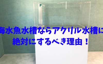 【保存版】海水魚水槽ならアクリル水槽に絶対にするべき理由！