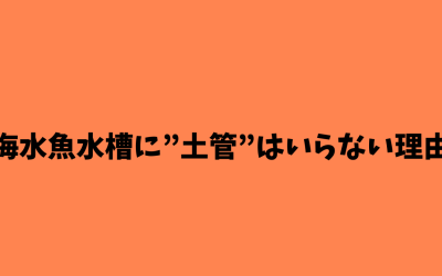 【決定版】海水魚水槽に”土管”はいらない理由