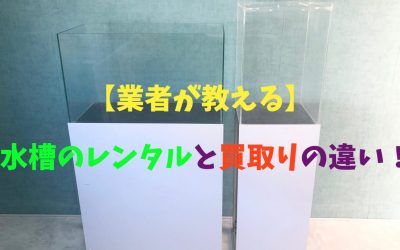 【業者が教える】水槽のレンタルと買取りの違い！