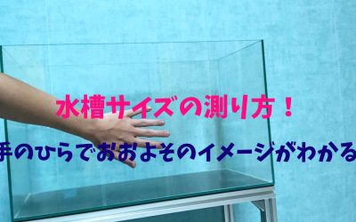 水槽サイズの測り方！手のひらでおおよそのイメージがわかる！