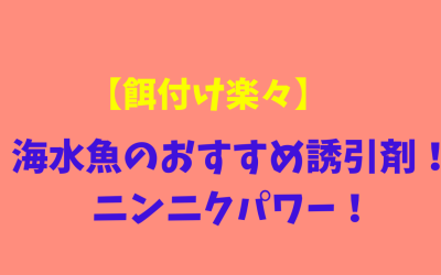 【餌付け楽々】海水魚のおすすめ誘引剤！ニンニクパワー！