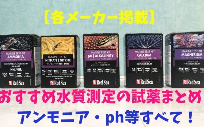 【各メーカー全掲載】おすすめ水質測定の試薬まとめ！アンモニア・ph等すべて！