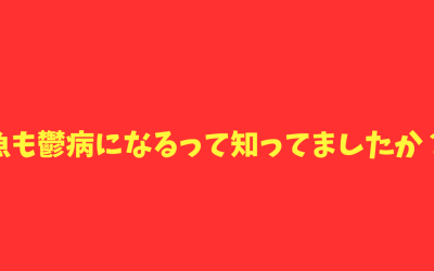 【魚のストレス】これは衝撃…魚も鬱病になるって知ってましたか？