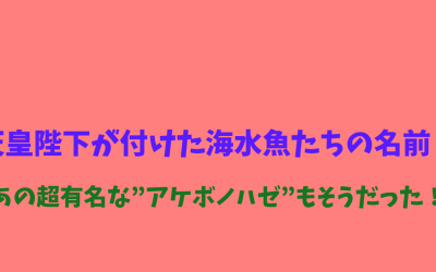 天皇陛下が付けた海水魚たちの名前！ウソ！あの超有名な”アケボノハゼ”もそうだった！