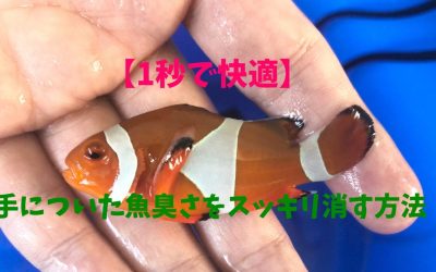 【1秒で快適】手についた魚臭さをスッキリ消す方法！