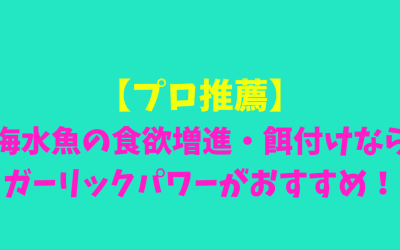 【プロ推薦】海水魚の食欲増進・餌付けならガーリックパワーがおすすめ！