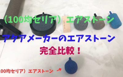 【100均と比較】水槽エアストーン！アクアメーカーと完全比較！