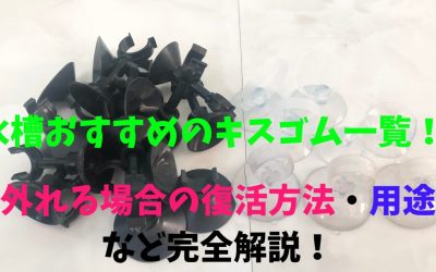 【14メーカー・58商品】水槽おすすめのキスゴム一覧！外れる場合の復活方法・用途など完全解説！