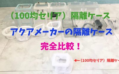 【100均と比較】水槽隔離ケース！アクアメーカーと完全比較！