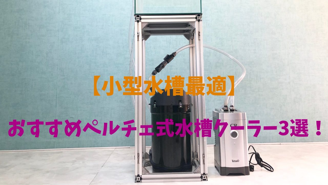 ゼンスイ 大型水槽用クーラー 1500SP (冷却水量4000L以下/三相200V/淡水・海水両用) [1500SP 活魚水槽用] : ミナトワークス - 通販 - Yahoo!ショッピング | ゼンスイ KDA1001A 単相200V 大型循環式クーラー 個人宅配送不可