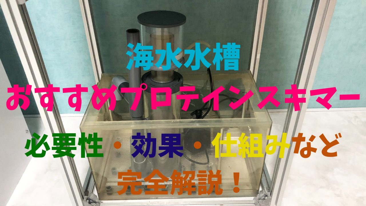 最強】海水水槽おすすめプロテインスキマー！必要性・効果・仕組みなど 