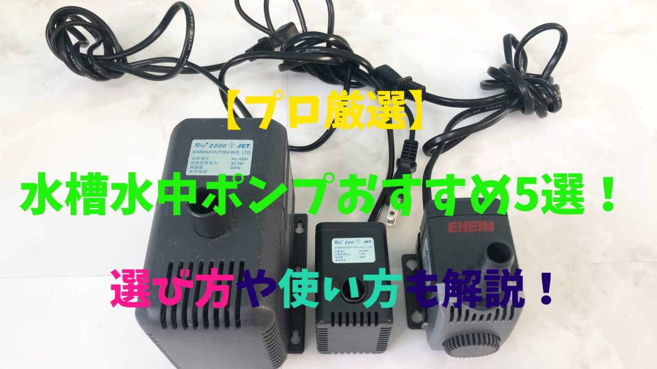 プロ厳選】水槽水中ポンプおすすめ5選！選び方や使い方も解説 ...