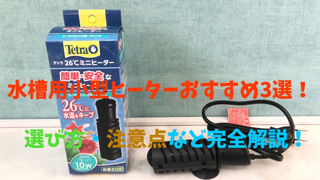 水槽用小型ヒーターおすすめ3選！選び方・注意点など完全解説 