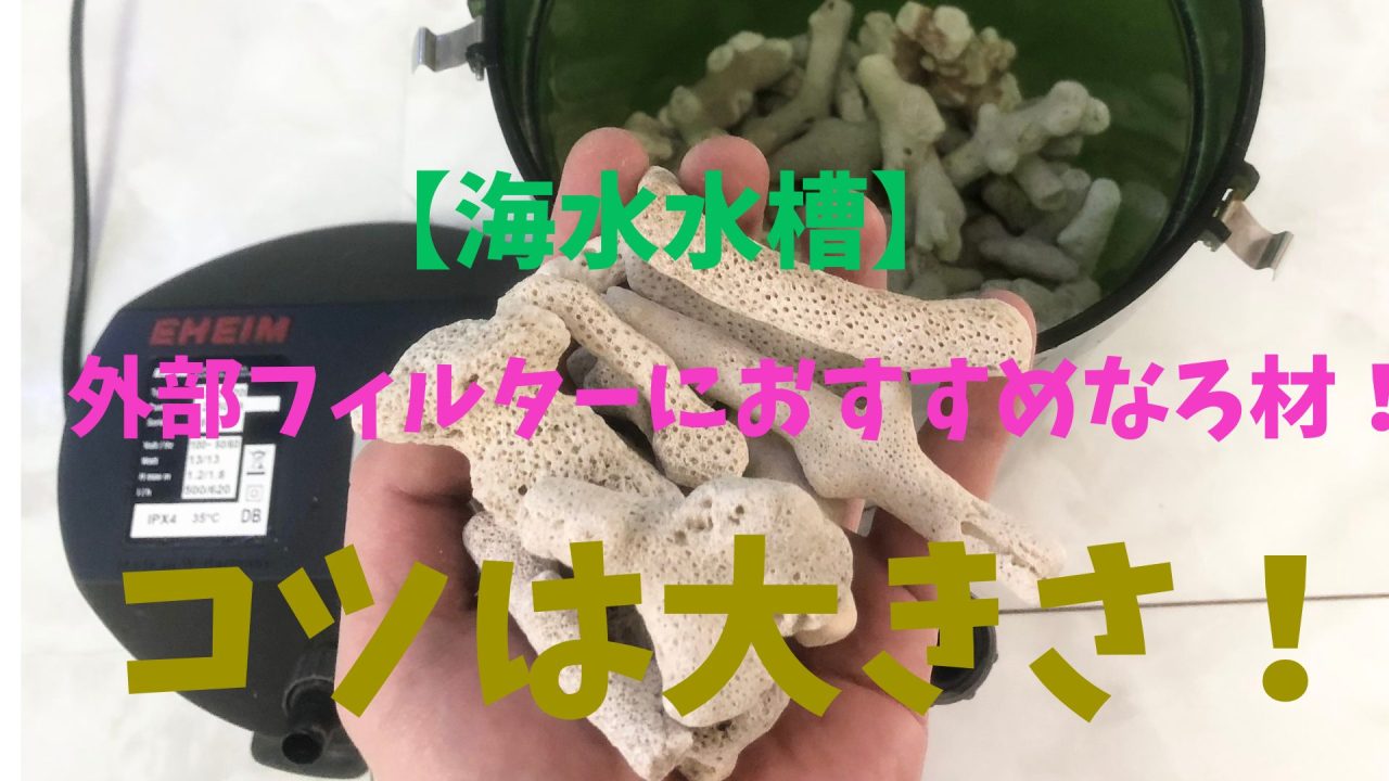 海水水槽】外部フィルターにおすすめなろ材！コツは大きさ！ – マリブ 