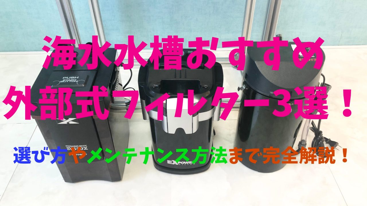 プロ厳選】海水水槽のおすすめ外部式フィルター3選！選び方や 