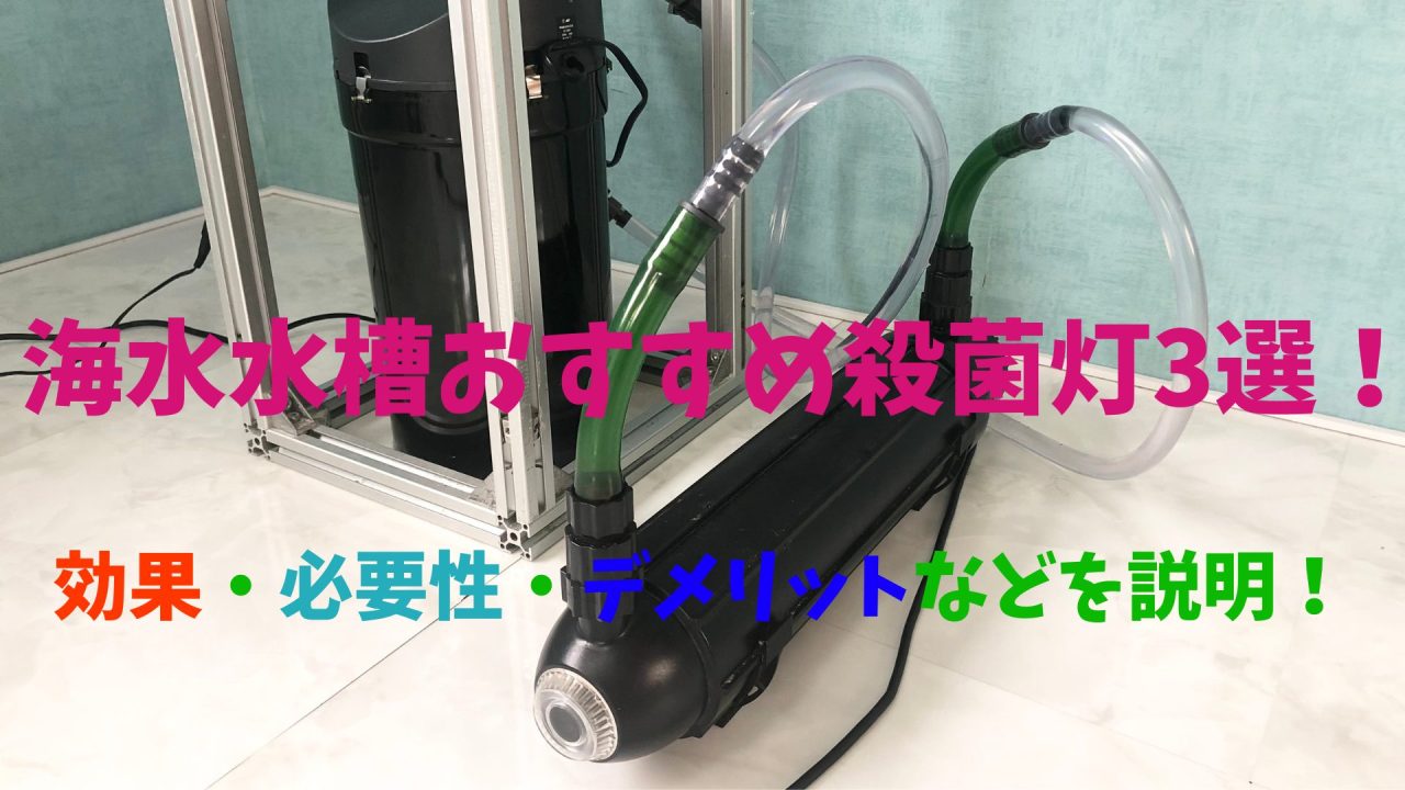 プロ解説】海水水槽おすすめ殺菌灯3選！効果・必要性・選び方などを 