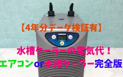 【4年分データ検証有】水槽クーラーの電気代！エアコンor水槽クーラー完全版！