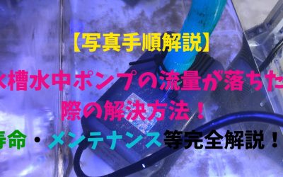 【写真手順解説】水槽水中ポンプの流量が落ちた際の解決方法！寿命・メンテナンス等完全解説！