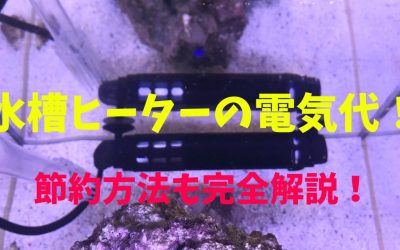 水槽ヒーターの電気代！節約方法も完全解説！