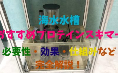 【最強】海水水槽おすすめプロテインスキマー！必要性・効果・仕組みなど完全解説！