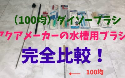 【100均と比較】水槽掃除コケ取りブラシ！ダイソーとアクアメーカー完全比較！