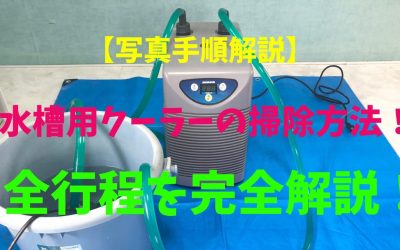 【写真手順解説】水槽用クーラーの掃除方法！全行程を完全解説！