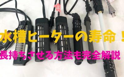 水槽ヒーターの寿命！長持ちさせる方法も完全解説！