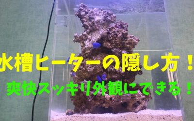 水槽ヒーターの８つの隠し方！爽快スッキリ外観にできる！