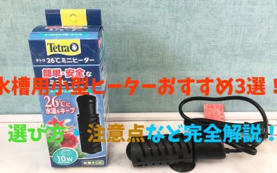 水槽用小型ヒーターおすすめ3選！選び方・注意点など完全解説！