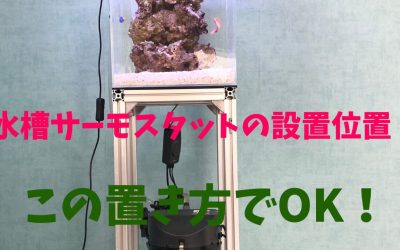 水槽サーモスタットの設置位置！この置き方でOK！