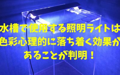 【青・ブルーライト】水槽で使用する照明ライトは色彩心理的に落ち着く効果があることが判明！