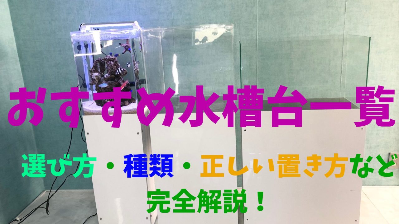 水槽サイズ別おすすめ水槽台一覧！選び方や注意点など完全網羅 
